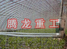 大棚花卉供暖設備、大棚卉采暖設備、大棚花卉取暖設備